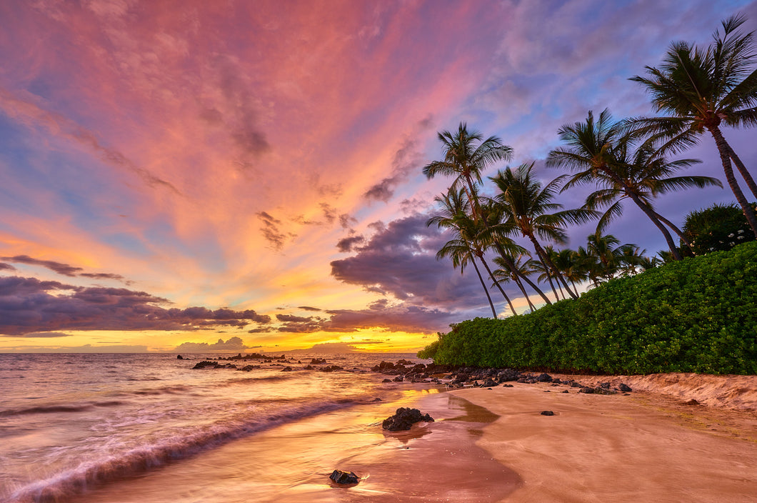 Mai Tai by Andrew Shoemaker