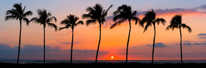 Maui Dreamin' by Andrew Shoemaker