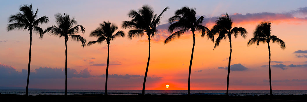 Maui Dreamin' by Andrew Shoemaker