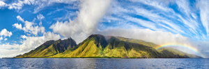 Maui No Ka Oi by Andrew Shoemaker