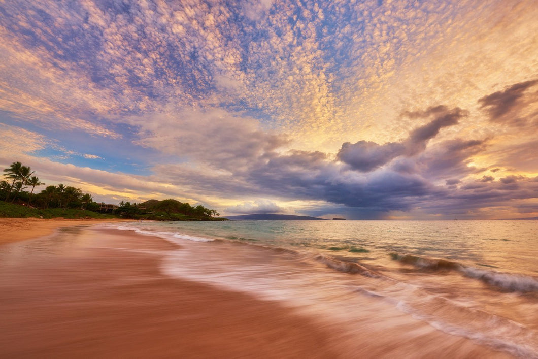 Maluaka Magic by Andrew Shoemaker