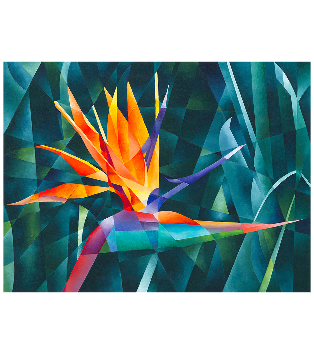 Bird of Paradise by TJ Matousek