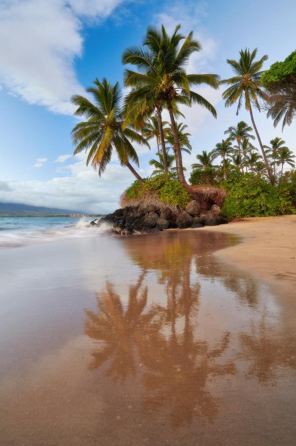 Maui Mirror by Andrew Shoemaker