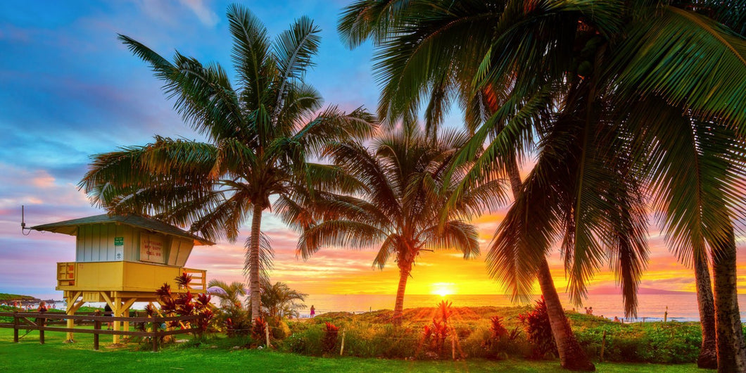 Maui Moments by Andrew Shoemaker