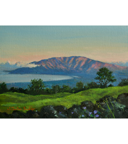 Morning Glory by Christian Snedeker supporting Maui fire relief efforts