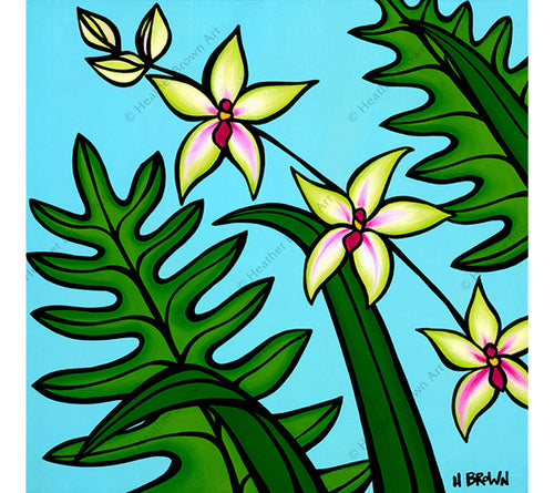 Orchid