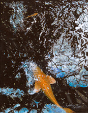 Original Painting "Donʻt Be Koi" by Philip Gagnon 12x16