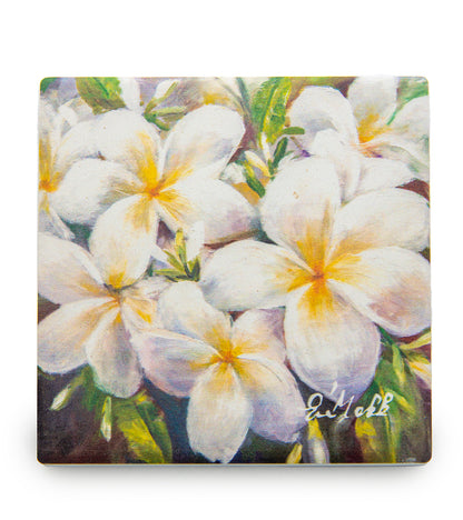 エヴァ・マック作 砂岩コースター「プルメリア」