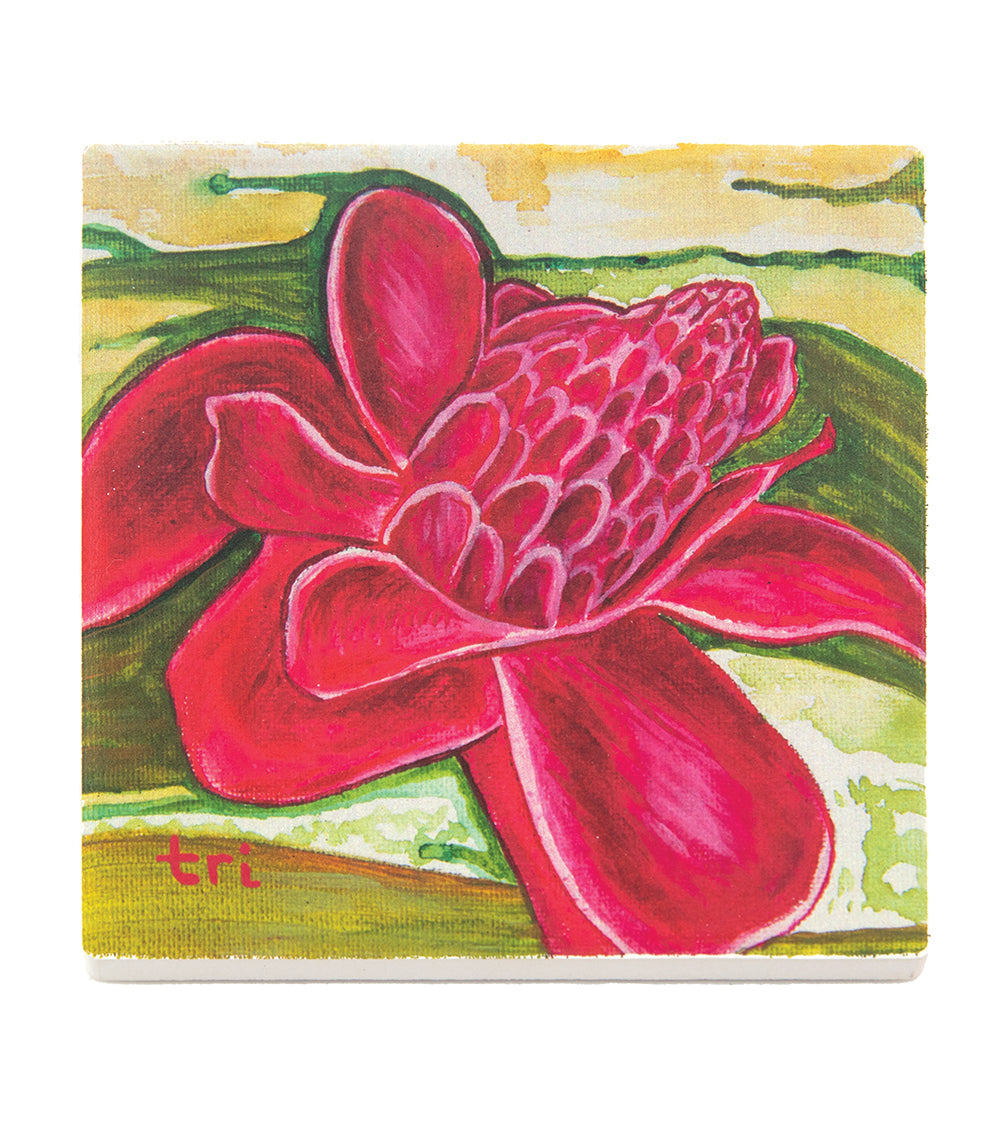 Sandstone Coaster "Ginger" by Trevor Isabel