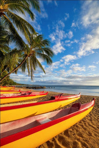 Paddle Out by Andrew Shoemaker