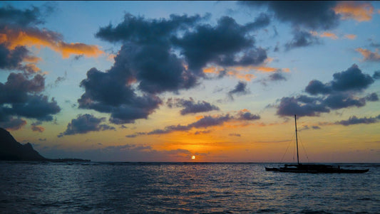 Pure Sunset by Andrew Shoemaker