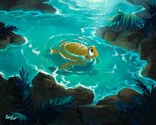 Original Painting: Honu's Tidepool by Rob Kaz