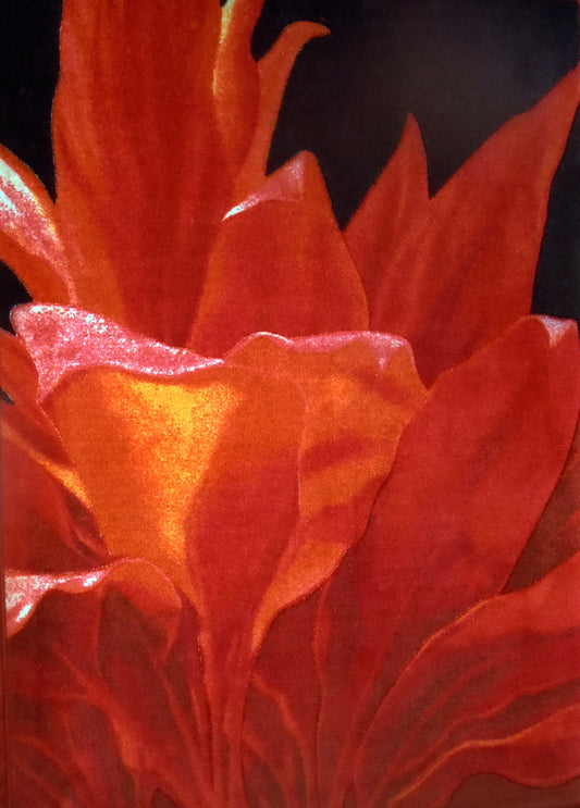 Fiery UlaUla Rug by Philip Sabado