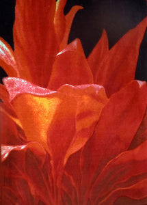 Fiery UlaUla Rug by Philip Sabado