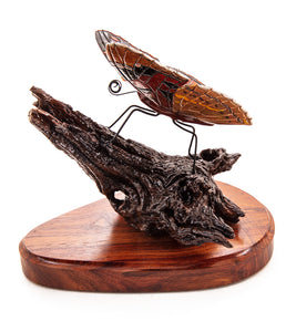 Wood Sculpture "Kamehameha Butterfly #23" by Craig Nichols