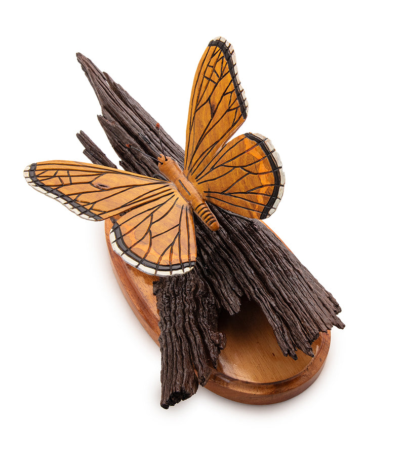 SEAC_29325C_BF25_HERO_Web_800x