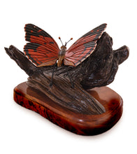 Wood Sculpture "Kamehameha Butterfly #30" by Craig Nichols