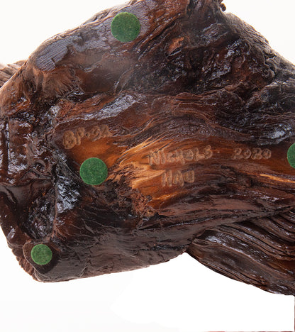 Escultura de madera "Mariposa Kamehameha n.° 32" de Craig Nichols