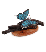 Wood Sculpture "Kamehameha Butterfly #33" by Craig Nichols
