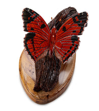Wood Sculpture "Kamehameha Butterfly #51" by Craig Nichols