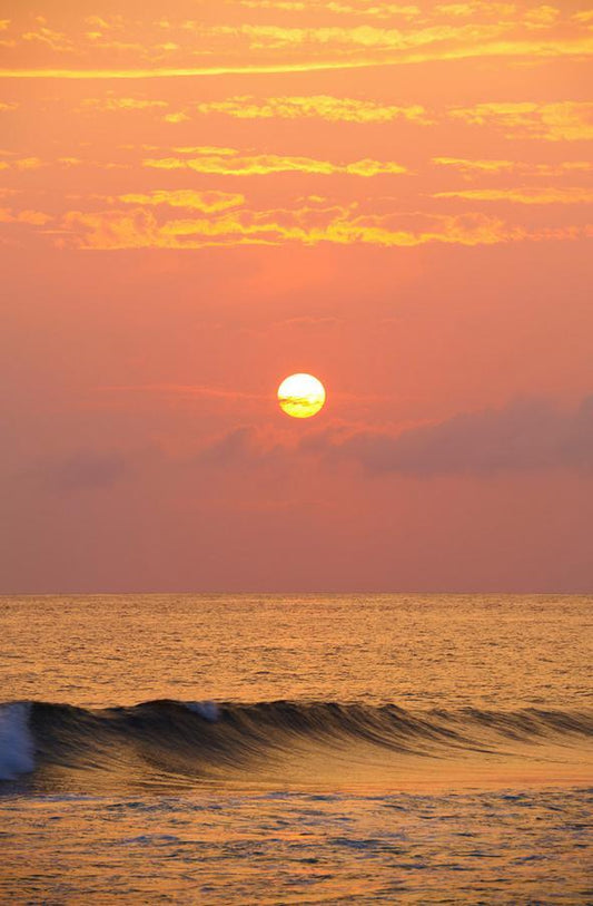 Salutation by Andrew Shoemaker