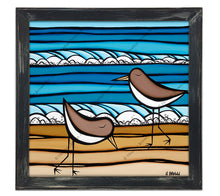 Sea Birds