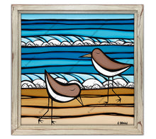 Sea Birds