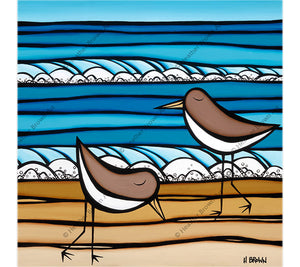 Sea Birds
