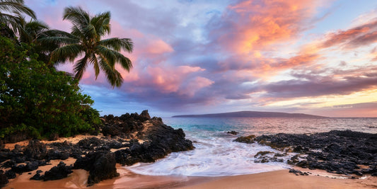 Secret Sauce by Andrew Shoemaker