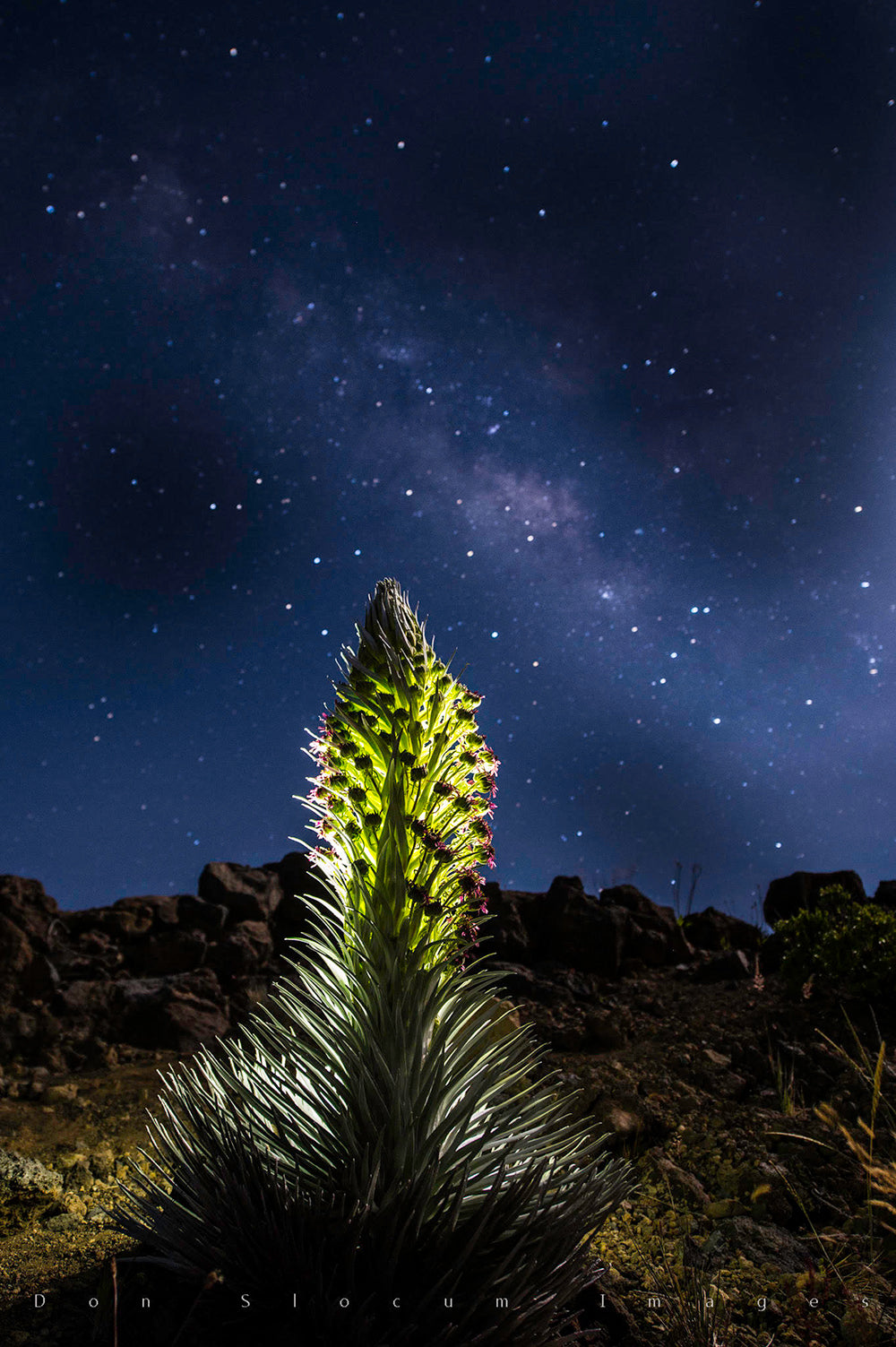 Silver Sword Night Vision by Don Slocum