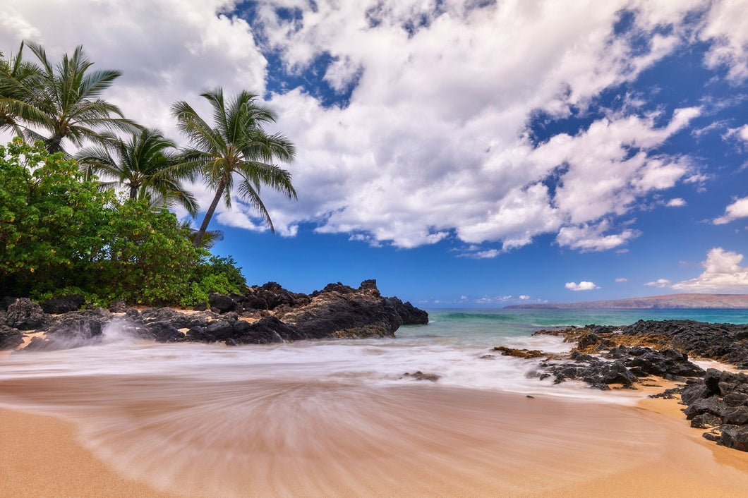 Summer Vibes by Andrew Shoemaker