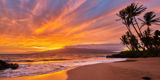 Sunsplosion by Andrew Shoemaker