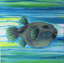Gallery Wrapped Resin Print "Puffer" by Trevor Isabel