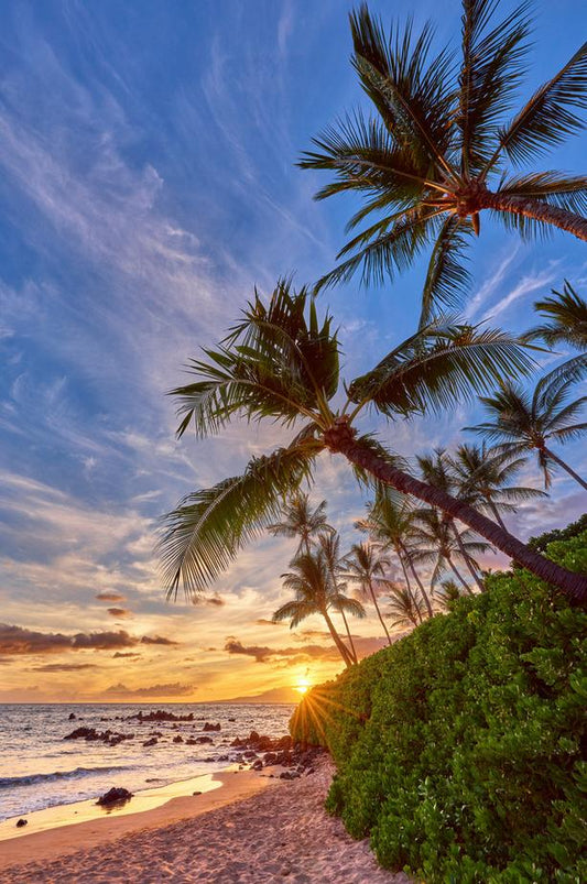 The Last Rays by Andrew Shoemaker