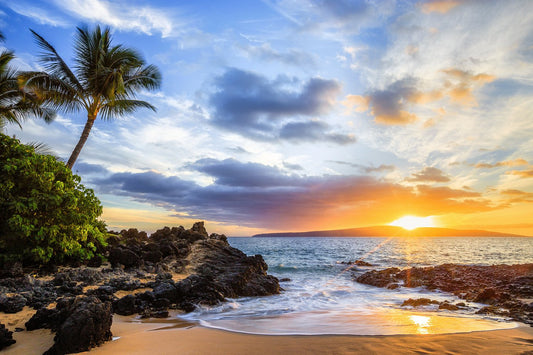 The Spot by Andrew Shoemaker