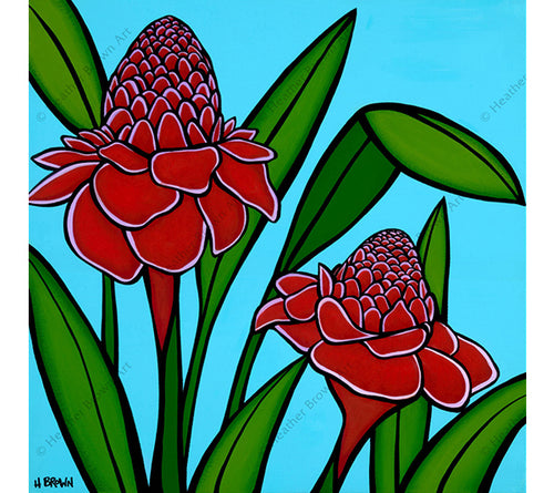 Torch Ginger