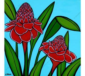 Torch Ginger