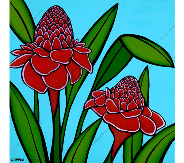 Torch Ginger