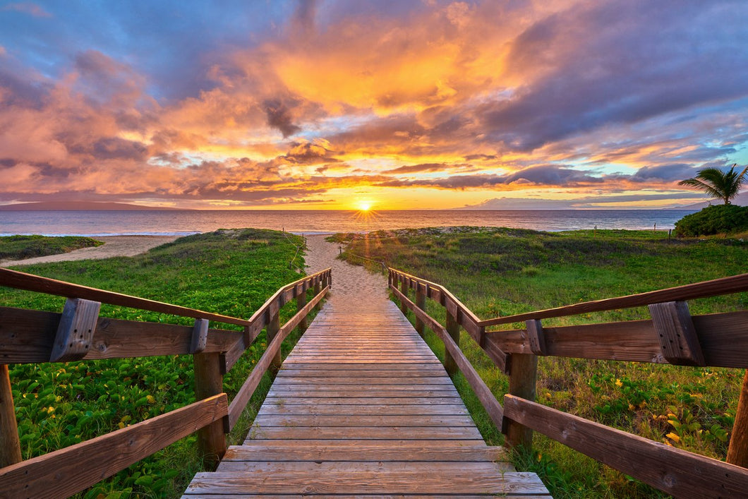 Walk the Walk by Andrew Shoemaker