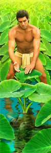 Mo'o Haloa by Nelson Makua