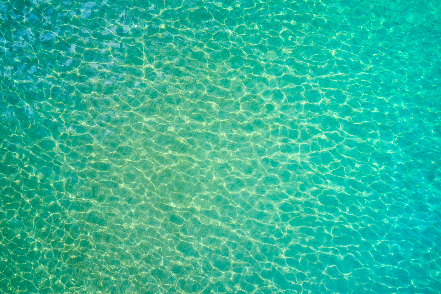 Electric Emerald by Andrew Shoemaker