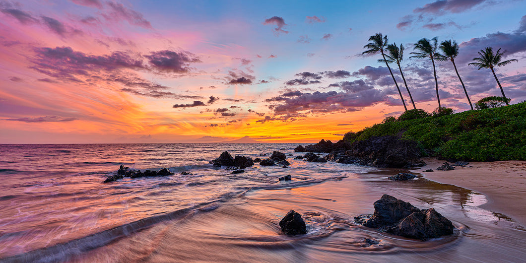 Lavender Blaze by Andrew Shoemaker