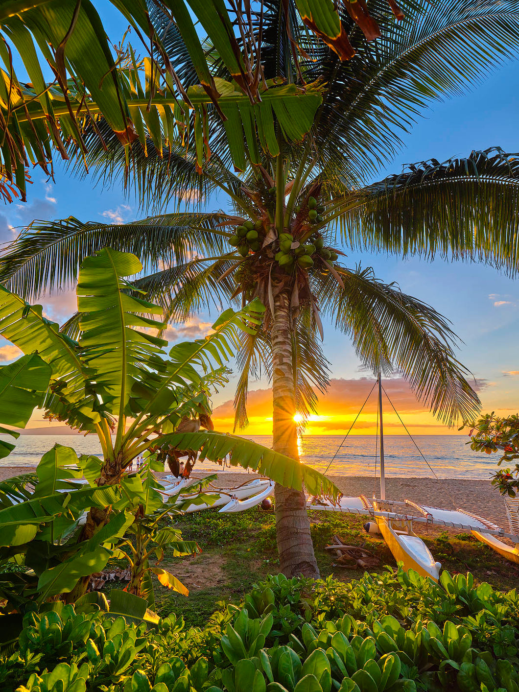 Lime in the Coconut by Andrew Shoemaker