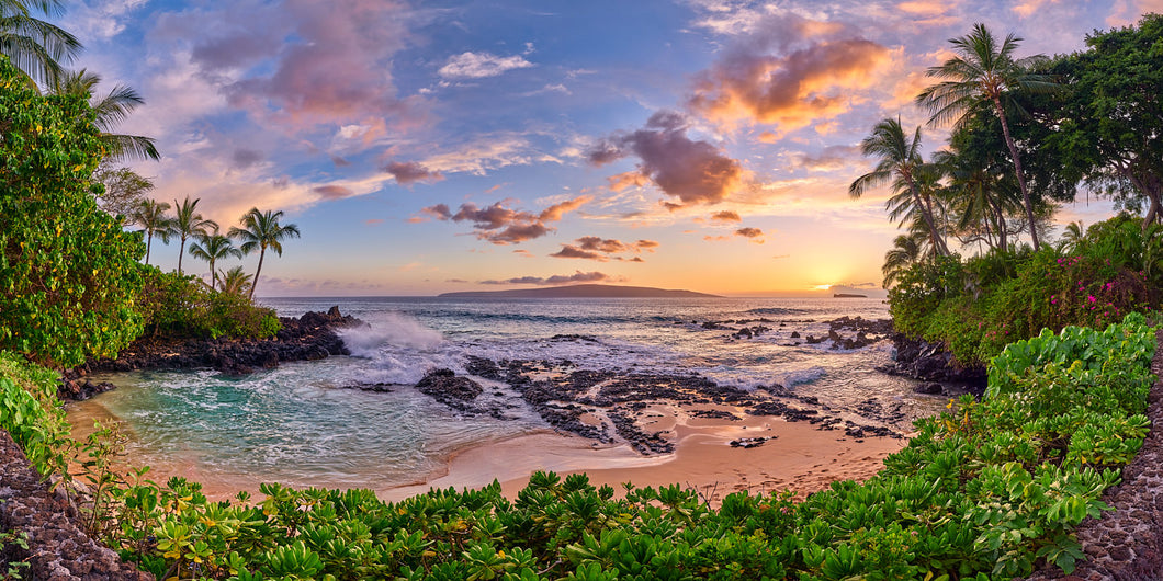 The Cove by Andrew Shoemaker